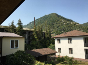 Guest house on Eshba 1